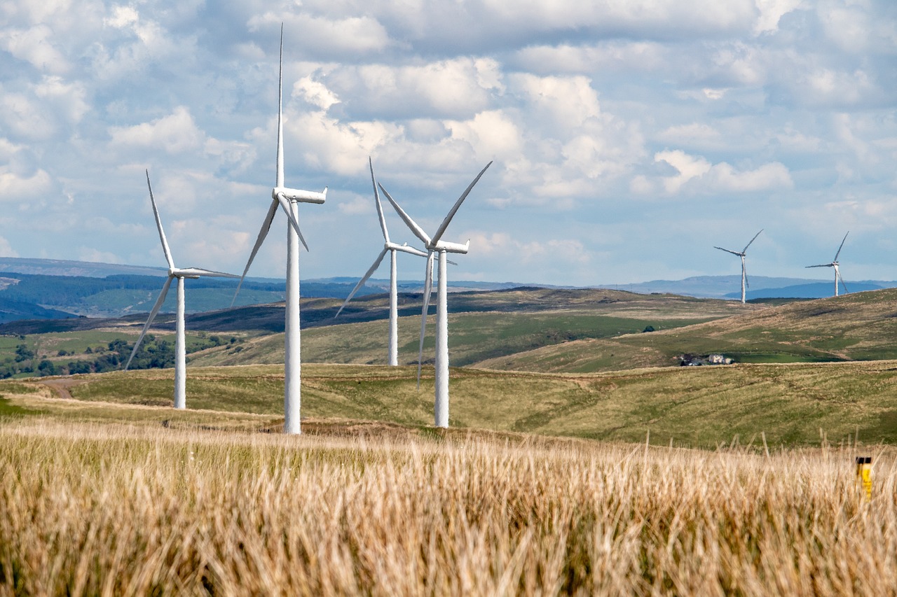 Dlaczego warto wybrać dostawcę energii odnawialnej?